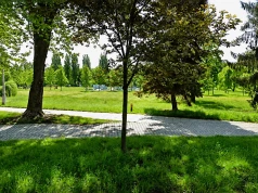 Blisko milion złotych na nowe atrakcje na Plantach Mistrzejowickich. Są trzy oferty