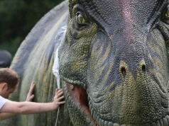 Dlaczego było tak niewiele małych dinozaurów? Znaleźli winowajców