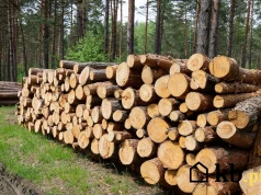 Pellet może mocno podrożeć. Nowy fundusz rządowy za 3 mld zł zwiększy popyt na biomasę