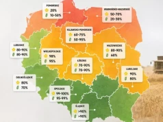 Południe kończy żniwa, północ ugrzęzła przez deszcze. Tak wygląda sytuacja w regionach