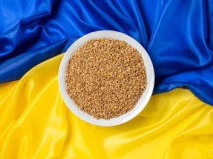 Będą naciski na zniesienie embarga na import zboża z Ukrainy. Czy rząd Tuska się ugnie?