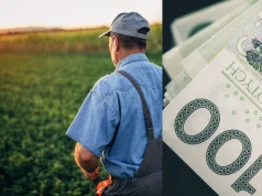 Waloryzacja emerytur KRUS 2027. Tyle mogą wzrosnąć świadczenia rolników