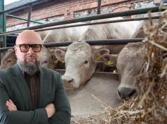 Rolnicy będą mogli sprzedawać więcej wołowiny? Jest ważny ruch ministerstwa