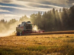 Ukraińskie zboże utknęło. Kijów chce od UE 220 mln euro wsparcia