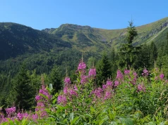 Brytyjska dziennikarka odwiedziła Tatry. Nie mogła wyjść z podziwu. "Wciąż pomijane"