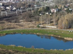 Nowe nasadzenia przy stawie na Godowie. Miasto ma już plan