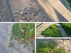 Gdzie jest gospodarz? Chodniki w Policach wołają o uwagę