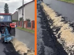 Rolnik zaorał nowy asfalt w Gliwicach. Tymczasem sieć wrze od "afery słupkowej"