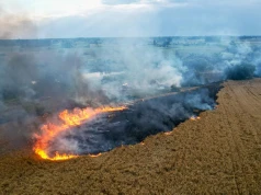 Pali się w Gminie Lądek. Pięć zastępów straży w akcji.