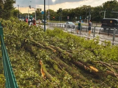 Gwałtowna burza nad Warszawą. Powalone drzewa, uszkodzone auta i dach budynku