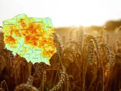Susza pogłębia się. Najnowszy raport SMSR nie pozostawia najmniejszych złudzeń