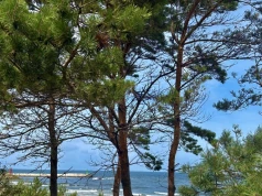 Spokojny wypoczynek nad Bałtykiem. Tu trafisz nawet na pustą plażę