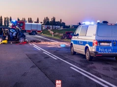 Kropki na policyjnej mapie dają do myślenia. Połowa wakacji na drogach