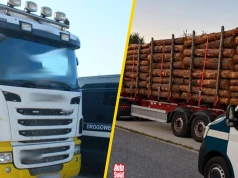 Inspektorzy ITD zatrzymali transport jak z "Oszukać Przeznaczenie". O 20 t drewna za dużo