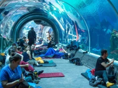 Długi weekend pod namiotem w Orientarium ZOO Łódź – przeżyj wyjątkową noc już 14 sierpnia!