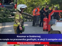 Koszmar w Stobiernej. Drzewo runęło na pracownika geofizyki, w akcji 5 zastępów straży