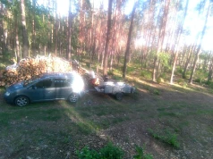 Seria kradzieży w prywatnym lesie. Właściciel zastawił pułapkę na złodziei