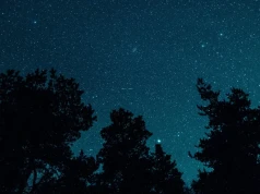 Noc Perseidów w Legnicy - fotografowanie i obserwacja spadających gwiazd z Centrum Witelona