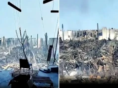 Strach podejść! Pierwszy raz pokazali z bliska (WIDEO)