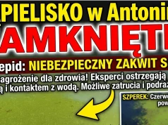 PILNE: Sanepid zamknął kąpielisko „Szperek” w Antoninie! Jest oficjalny zakaz kąpieli
