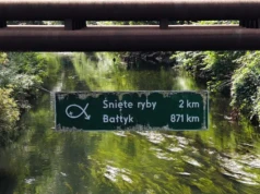 Tajemnicze tablice na Śląsku. "Metale ciężkie, kanalizacja, Bałtyk"