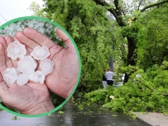 Dramatyczna pogoda w Polsce, pokazano straty po nawałnicy na Mazowszu. IMGW ostrzega