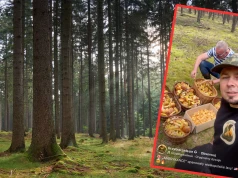 Wybrał się na grzybobranie w sierpniu i pokazał swoje zbiory. "Opanowały wielkopolskie lasy!"