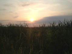 Wkrótce zaćmienie Słońca i noc Perseidów