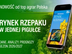 Co dalej z cenami rzepaku? Najnowszy raport pokazuje, co czeka rolników w sezonie 2026/27