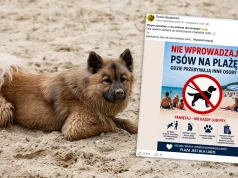 Zakazują wprowadzania psów na plaże. Co na to prawo? "Dyskryminuje i wyklucza"