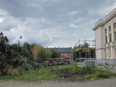 Prace przy Filharmonii ruszają od wycinek drzew. Czy konieczna była wycinka 35 drzew?