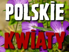 Cała Warszawska zaśpiewa żołnierzom. Przed nami koncert "Polskie Kwiaty" w Ciechanowie