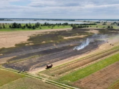Groźny pożar podczas żniw pod Turkiem. Spłonęła prasa i około 6 hektarów pola