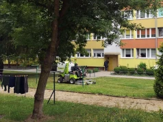 „Najlepiej, żeby trawników w ogóle nie było”. Sprawdziliśmy, czy to ma sens