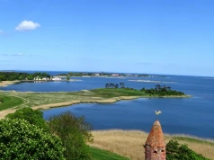 Martwy humbak znaleziony w Zatoce Greifswaldzkiej
