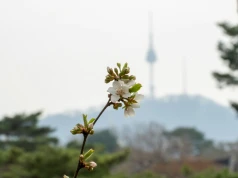 Korea Południowa już planuje erę po boomie na AI. Kubity, mózg-komputer i Księżyc