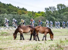 Vuelta a España 2028: Wielki start wyścigu prawdopodobnie na Sardynii