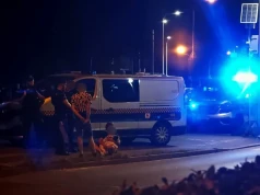 Pies potrącony przez samochód na ulicy Różyckiego w Jeleniej Górze