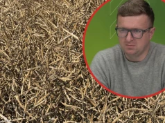 Ponad 160 ha jeszcze do zbioru, w tym 90 ha rzepaku. Trudne i słabe żniwa u Łukasza Pergoła