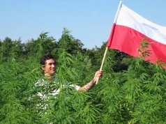 Kombinat Konopny pokazał wyniki. Powiem wam: Kowalski ma moc