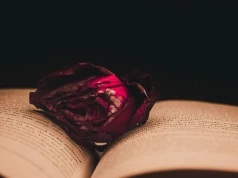 Book boyfriend czy oprawca? Gdzie kończy się dark romance, a zaczyna romantyzowanie przemocy