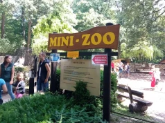 Kucyk ugryzł dwulatka w krakowskim Mini ZOO. Dziecko przeszło serię szczepień