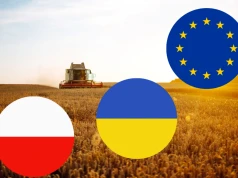Ukraina w UE zmieni dopłaty dla rolników? Polska może stracić miliardy euro