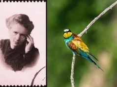 Skłodowska-Curie czy ptaki żołny? Ważą się losy nowych banknotów euro
