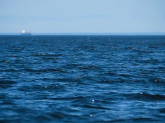 Na Pacyfiku szykuje się rekord. El Niño może podbić ceny także w Polsce