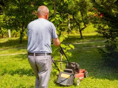 Darmowy nawóz do pomidorów i malin. Zrobisz przy okazji koszenia