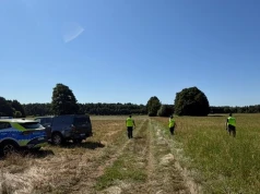 Puma znów widziana na Mazowszu. Policja do mieszkańców: Nie ryzykujcie