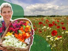 Dzikie owoce, stokrotki i inne niedoceniane "zielska". Ekspertka poleca darmowe pyszności z łąki