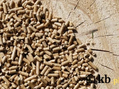 Ile naprawdę kosztuje ogrzewanie pelletem i drewnem? Różnice mogą zaskoczyć