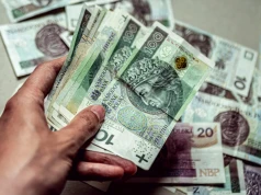 Dochód z tej uprawy to 5 tys. zł z hektara. Rośnie potencjał w Polsce